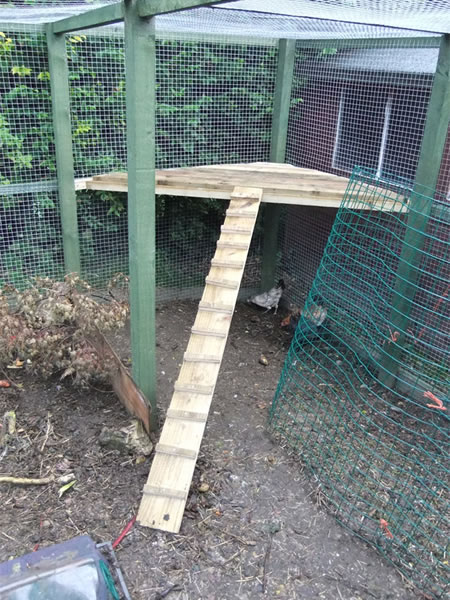 DIY Chicken Coop Sun Deck