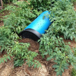DIY Plastic Barrel Drought Pod