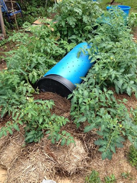 DIY Plastic Barrel Drought Pod