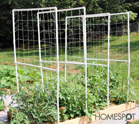 How To Build A DIY PVC Tomato Trellis