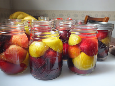 Canning Plums
