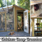 DIY Chicken Coop Greenhouse Plans