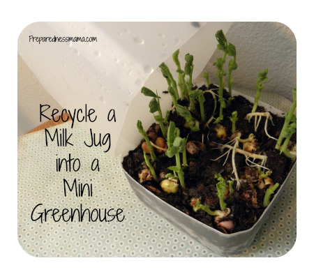DIY Milk Jug Mini Greenhouse