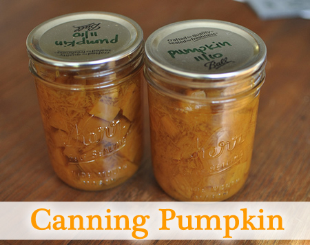 Canning Pumpkin