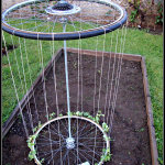 DIY Bicycle Tire Trellis