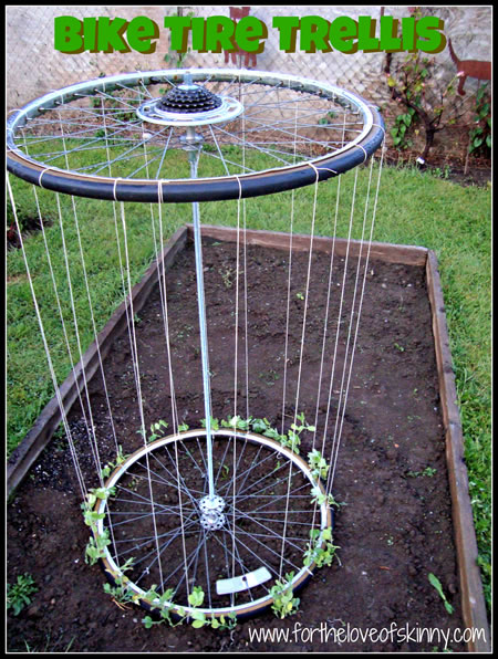 DIY Bicycle Tire Trellis