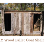 DIY Wood Pallet Goat Pen