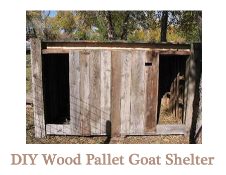 DIY Wood Pallet Goat Pen