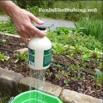 DIY Thumb Watering Can
