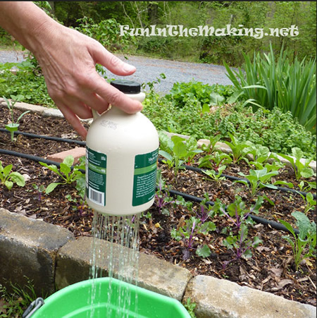 DIY Thumb Watering Can