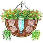 day plastic soda bottle waterer
