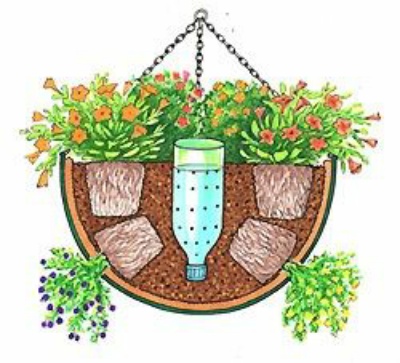 day plastic soda bottle waterer