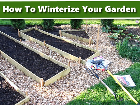 How To Winterize Your Garden