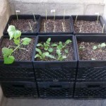 DIY Milk Crate Planters