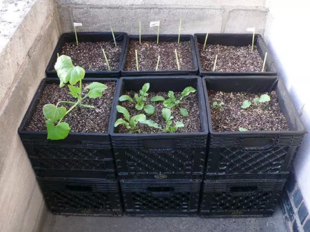 DIY Milk Crate Planters