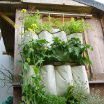 DIY Hanging Shoe Organizer Garden