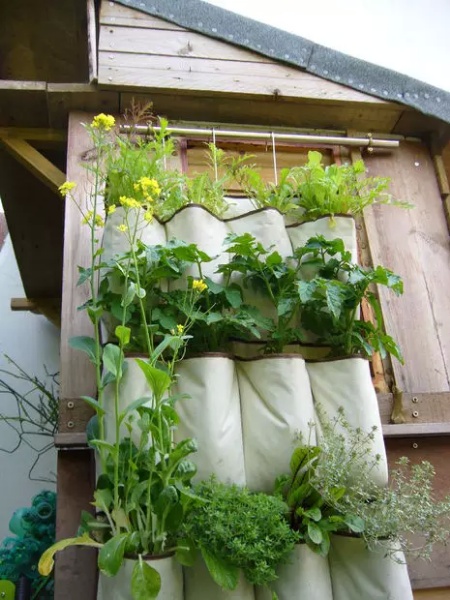 DIY Hanging Shoe Organizer Garden