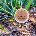 DIY Mason Jar Lid Plant Labels