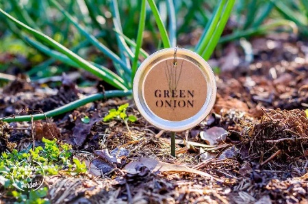 DIY Mason Jar Lid Plant Labels