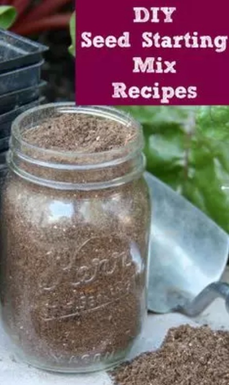 Homemade Seed Starting Mix Recipe