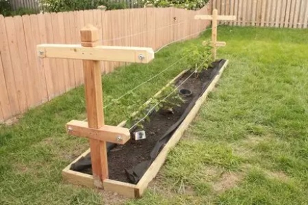 DIY Raspberry Trellis Plans