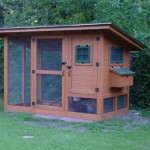 DIY Wichita Cabin Chicken Coop
