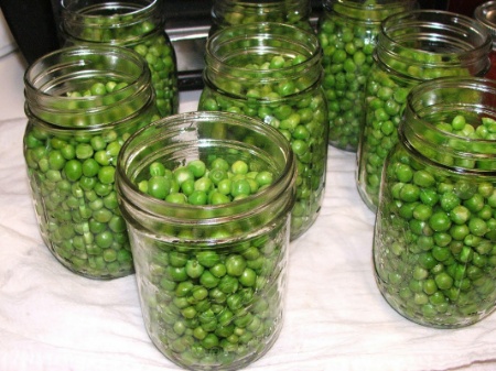 Canning Green Peas