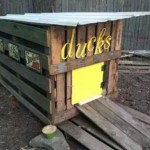 Duck House Made From Scrap