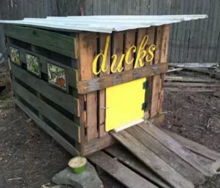 Duck House Made From Scrap