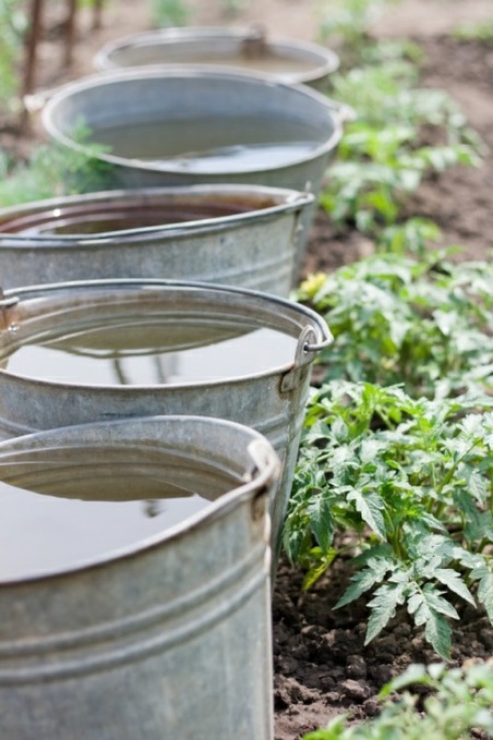 How To Naturally Warm Up Your Garden