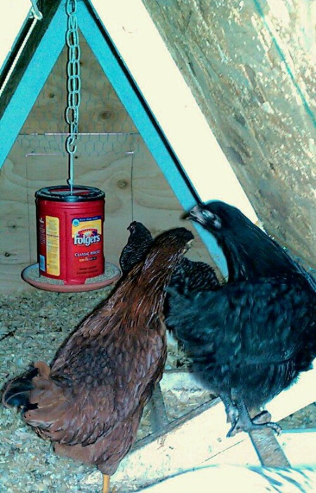 DIY Hanging Plastic Coffee Can Chicken Feeder