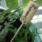 DIY Wine Cork Plant Markers