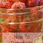 dehydrating raspberries