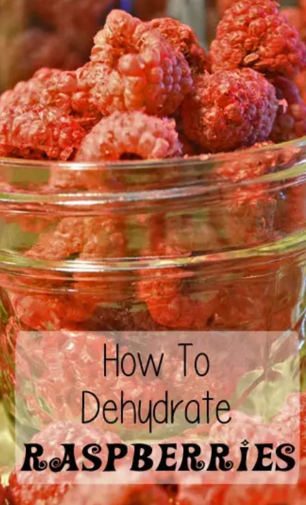 dehydrating raspberries