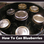 Canning Blueberries