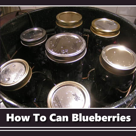Canning Blueberries