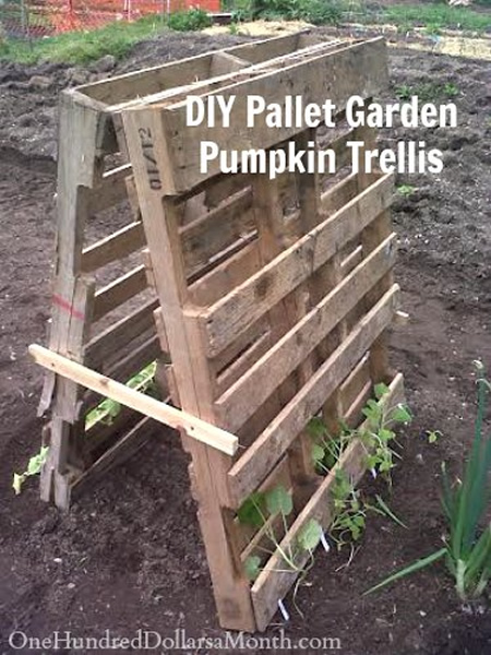 DIY Wood Pallet Pumpkin Trellis