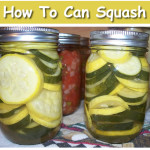 How To Can Squash
