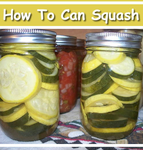 How To Can Squash