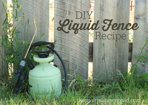 How To Make A Liquid Garden Fence