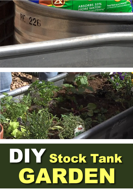 DIY Stock Tank Garden