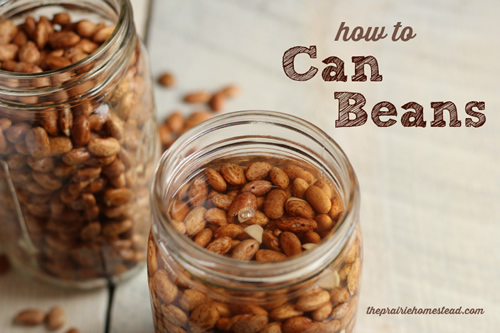 How To Can Dry Beans