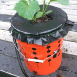 How To Make An Alaska Grow Bucket