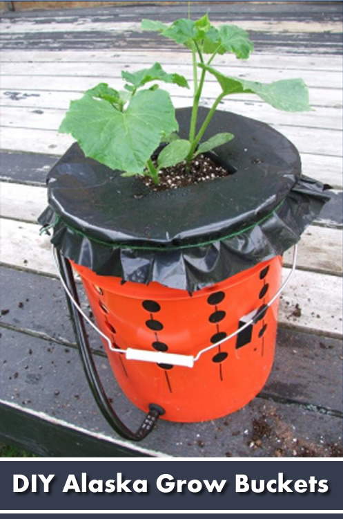 How To Make An Alaska Grow Bucket
