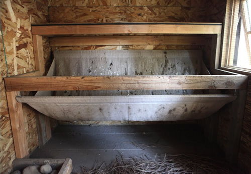 DIY Chicken Poop Hammock