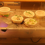 DIY Fogger Aeroponics System