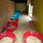 DIY Plastic Bowl Nesting Boxes