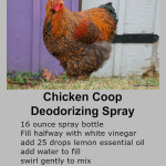 Homemade Chicken Coop Deodorizer Spray Recipe