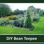 DIY Bamboo Bean Teepee