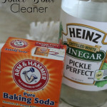 Homemade Toilet Bowl Cleaner